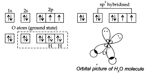 Chemical Bonding and Molecular Structure Diagram 28