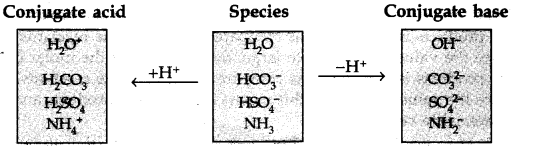 Equilibrium Diagram 63
