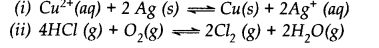 Equilibrium Diagram 77
