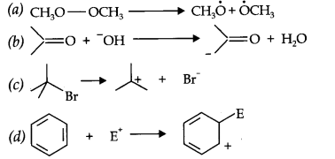 Organic Chemistry Some Basic Principles and Techniques Diagram 12