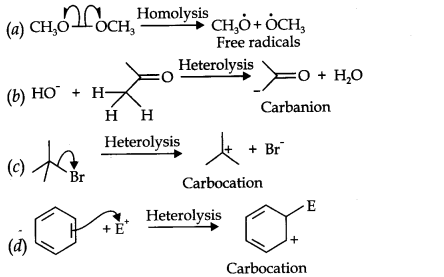 Organic Chemistry Some Basic Principles and Techniques Diagram 13