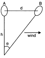 Units and Measurements Diagram 12