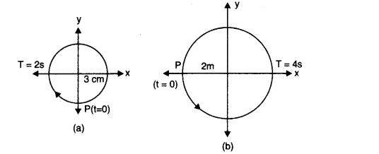 Oscillations Diagram 12