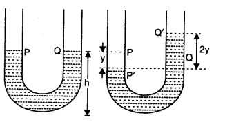 Oscillations Diagram 28