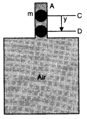 Oscillations Diagram 30