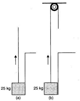 Laws of Motion Diagram 24