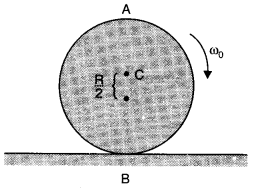 System of Particles and Rotational Motion Diagram 29