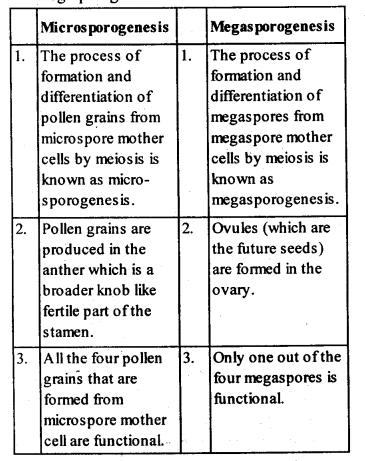 Sexual Reproduction in Flowering Plants Diagram 1