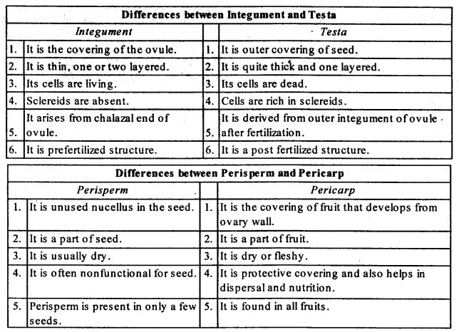 Sexual Reproduction in Flowering Plants Diagram 5