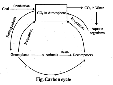 Ecosystem Diagram 2