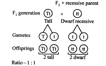 Principles of Inheritance and Variation Diagram 4