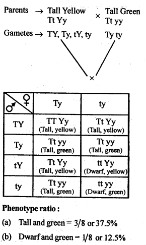 Principles of Inheritance and Variation Diagram 6