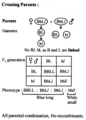 Principles of Inheritance and Variation Diagram 7