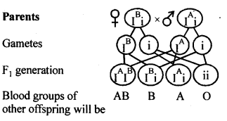 Principles of Inheritance and Variation Diagram 8