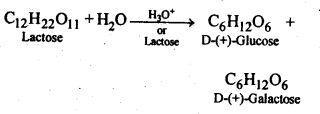 Biomolecules Diagram 1