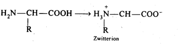 Biomolecules Diagram 12