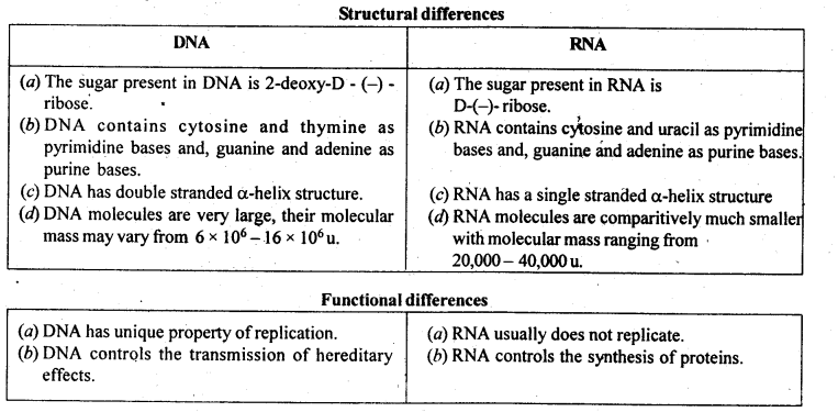 Biomolecules Diagram 16