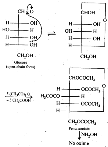 Biomolecules Diagram 2