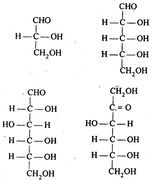 Biomolecules Diagram 3