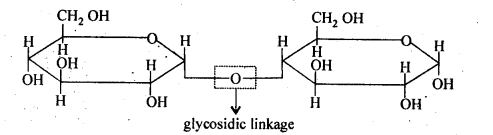 Biomolecules Diagram 4