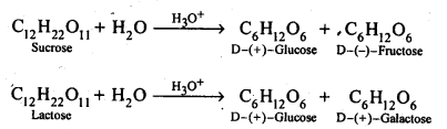 Biomolecules Diagram 5