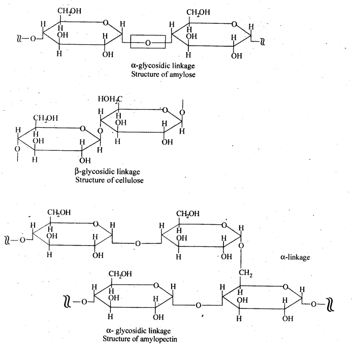 Biomolecules Diagram 6