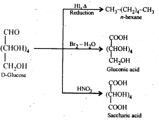 Biomolecules Diagram 7