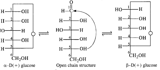 Biomolecules Diagram 8