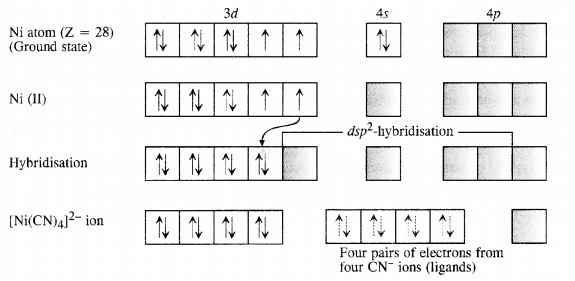 Coordination Compounds Diagram 5