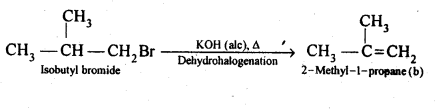 Haloalkanes and Haloarenes Diagram 42