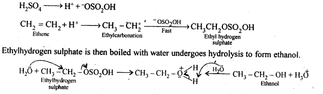 Alcohols Phenols and Ethers Diagram 39