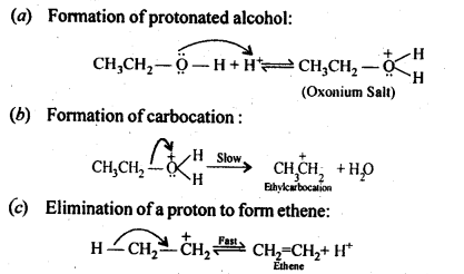 Alcohols Phenols and Ethers Diagram 51