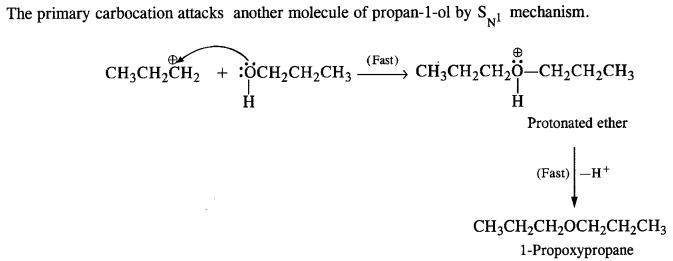 Alcohols Phenols and Ethers Diagram 58