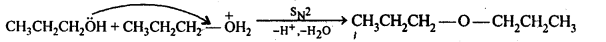 Alcohols Phenols and Ethers Diagram 59