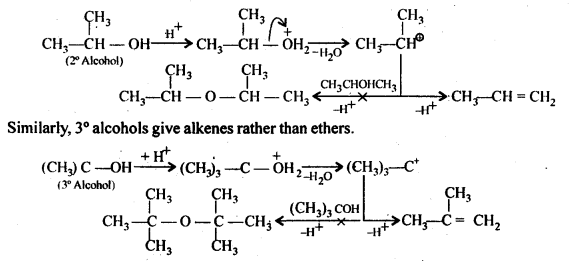 Alcohols Phenols and Ethers Diagram 60