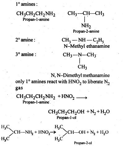 Amines Diagram 10