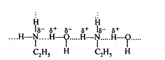 Amines Diagram 14