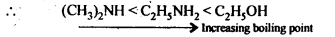Amines Diagram 22