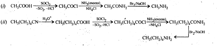 Amines Diagram 24