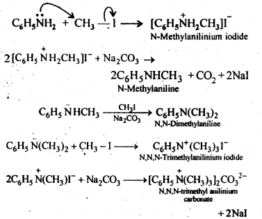 Amines Diagram 8