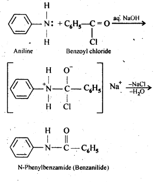 Amines Diagram 9