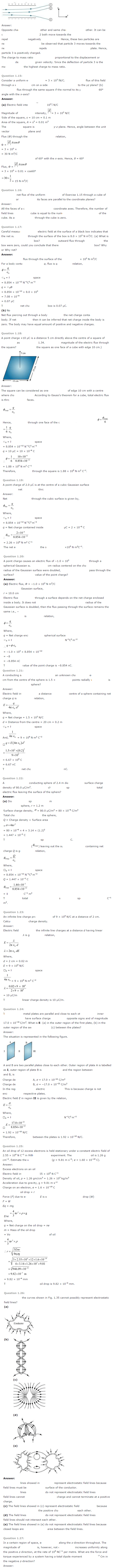 Electric Charges and Fields Diagram 2