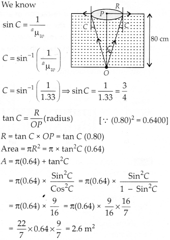 Ray Optics and Optical Instruments Diagram 10