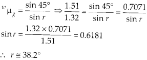 Ray Optics and Optical Instruments Diagram 9
