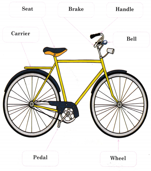 My Bicycle Diagram 4