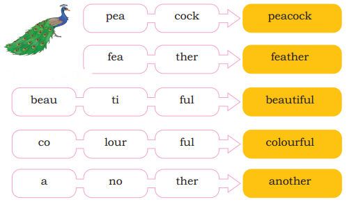 The Crow Diagram 5