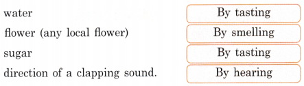 Seeing without Seeing Diagram 1