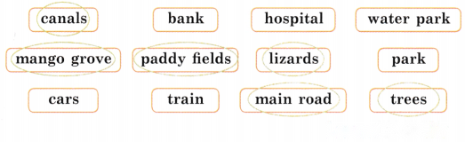 Between Home and School Diagram 6
