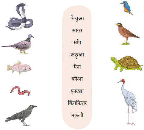 तालाब (Taalaab) Diagram 5