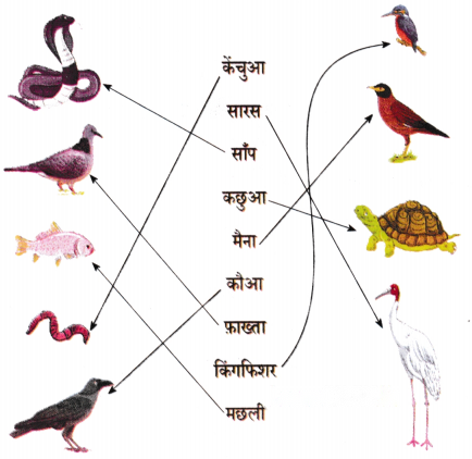तालाब (Taalaab) Diagram 6
